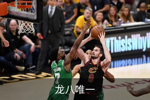 关于龙八唯一